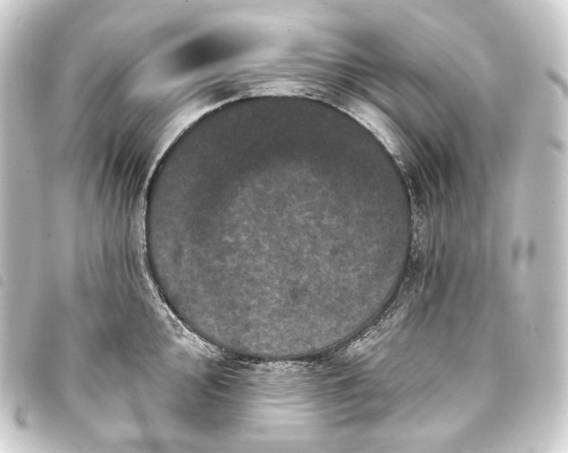 X0000093741000200710301101