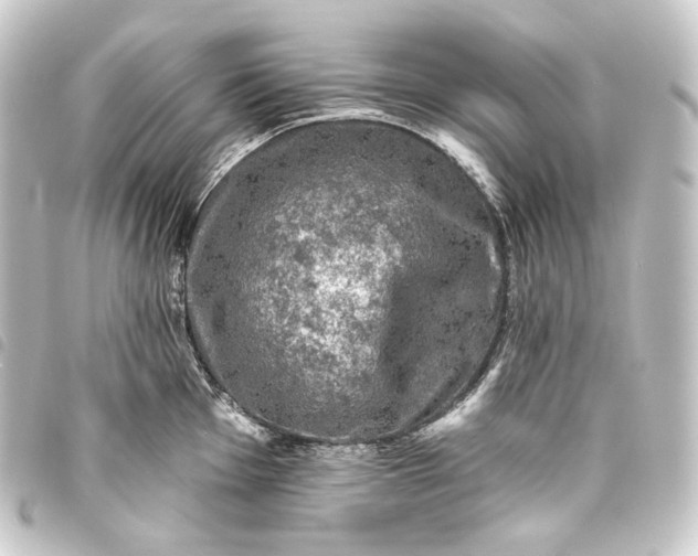 X0000093741001200710301101