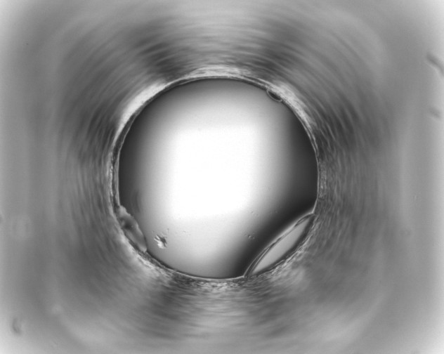 X0000093741003200710301101