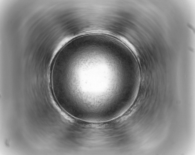 X0000093741005200710301101