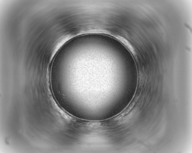 X0000093741006200710301101