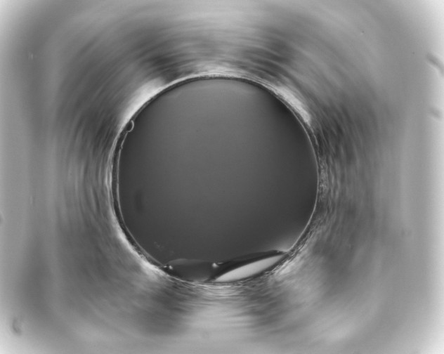 X0000093741007200710301101