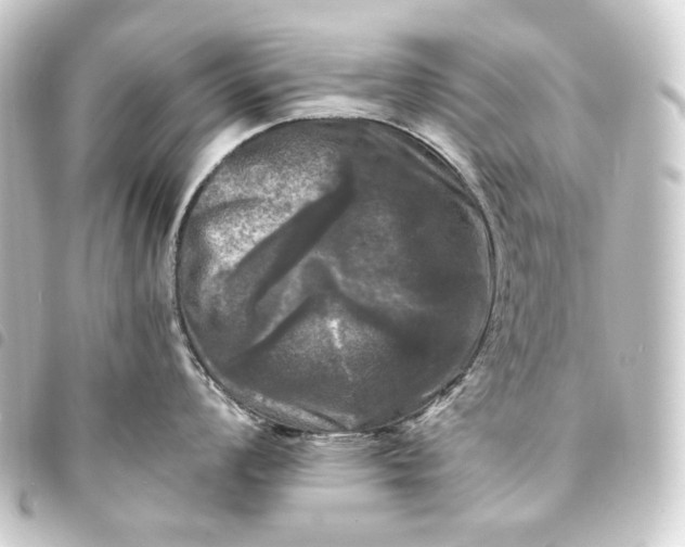 X0000093741008200710301101