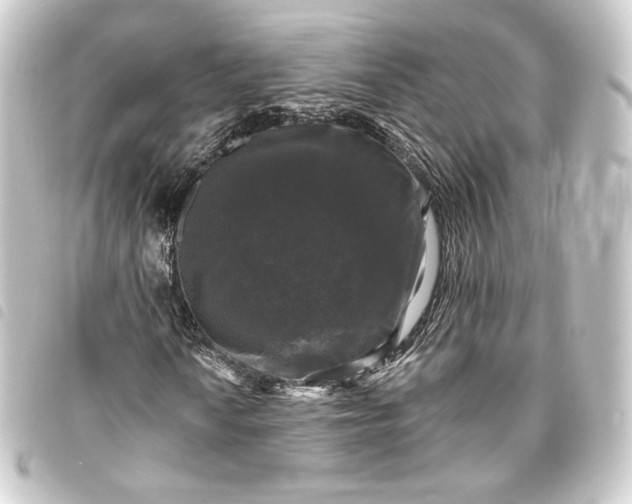 X0000093741010200710301100