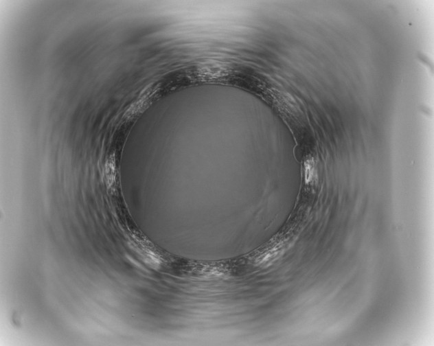 X0000093741011200710301100