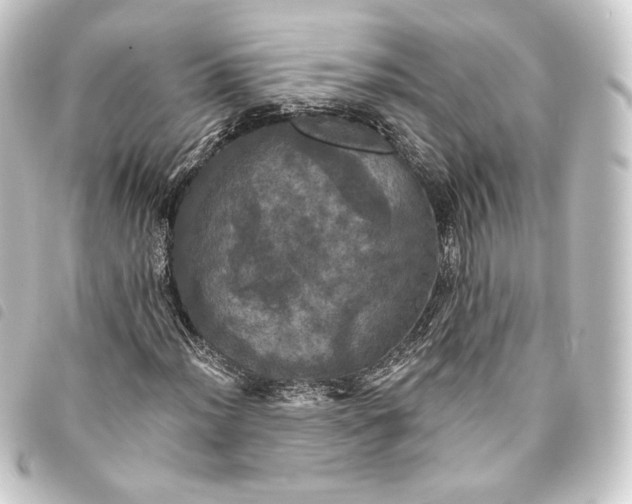 X0000093741012200710301100