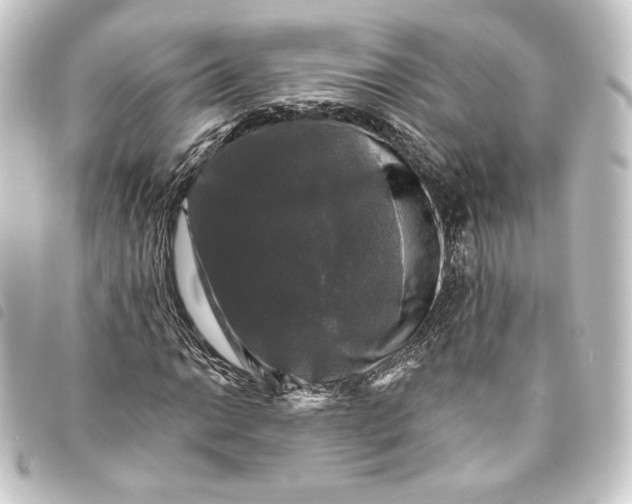 X0000093741014200710301100