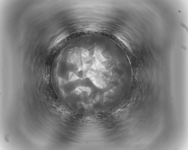 X0000093741015200710301100