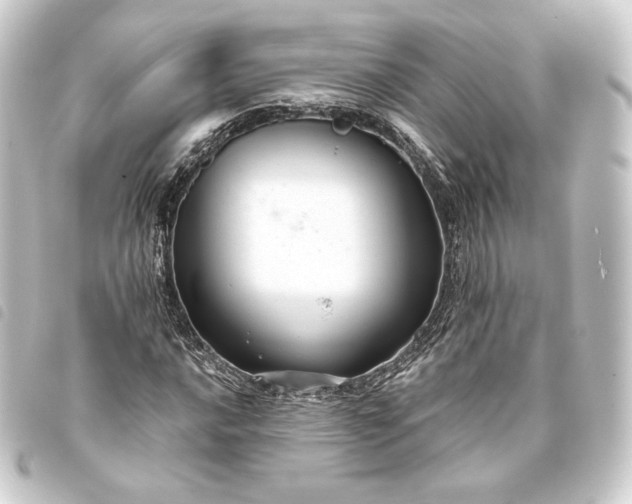 X0000093741016200710301100