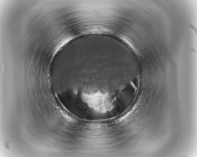 X0000093741018200710301100