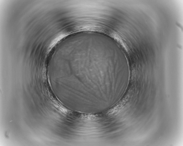 X0000093741019200710301100