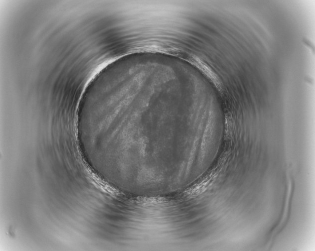 X0000093741020200710301100