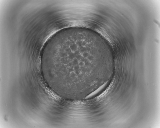 X0000093741021200710301100