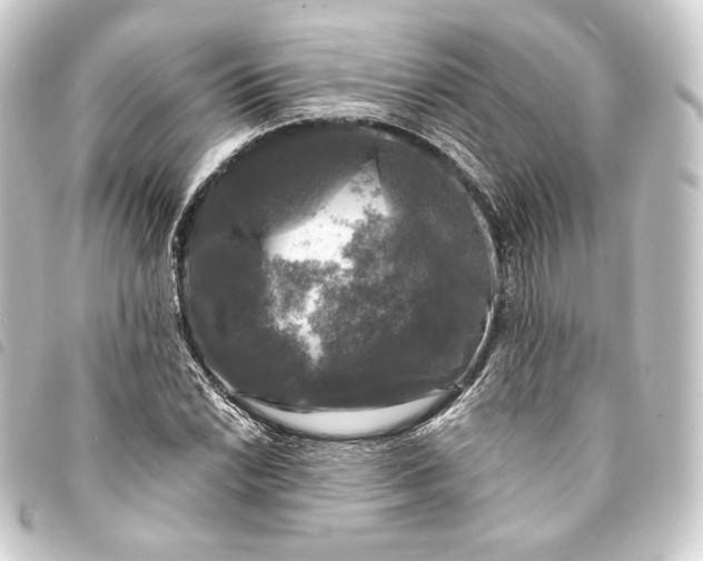 X0000093741022200710301100