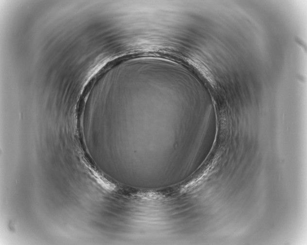 X0000093741023200710301100