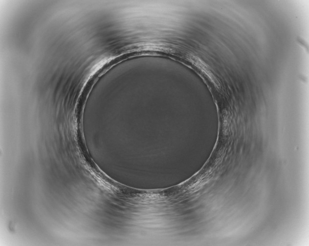 X0000093741024200710301100