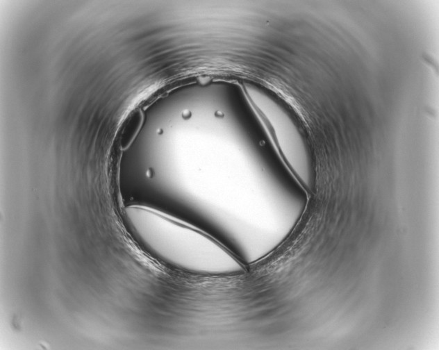 X0000093741026200710301100