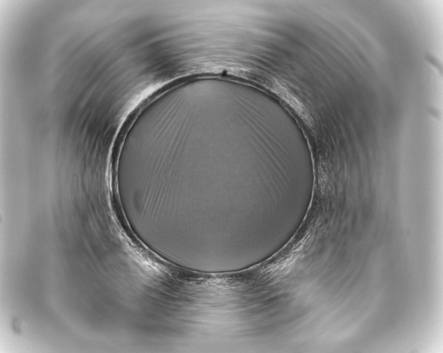 X0000093741028200710301100