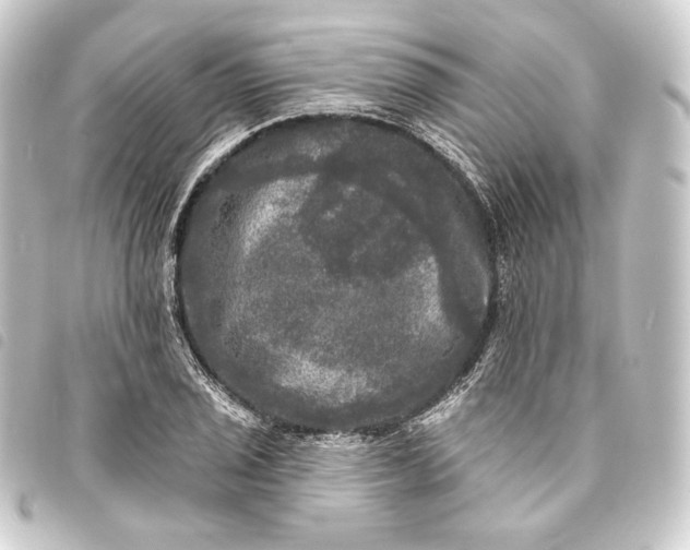 X0000093741029200710301100