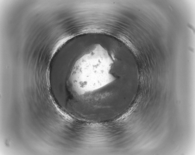 X0000093741030200710301100