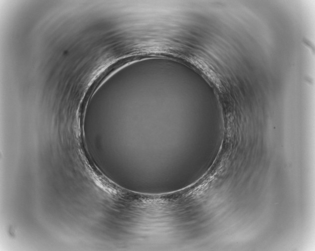 X0000093741031200710301100