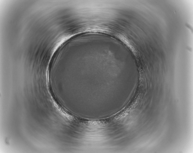 X0000093741032200710301100