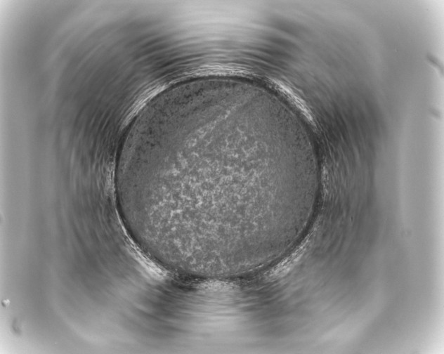 X0000093741033200710301100