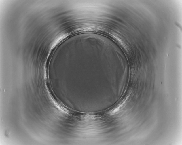 X0000093741034200710301100