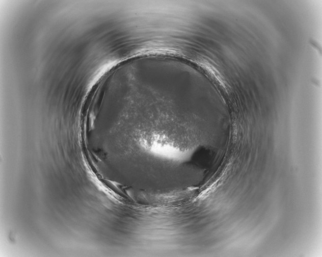 X0000093741038200710301100