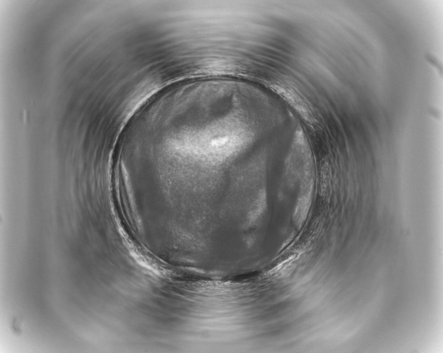 X0000093741039200710301100