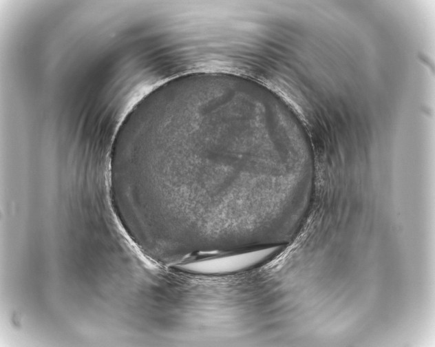 X0000093741040200710301100