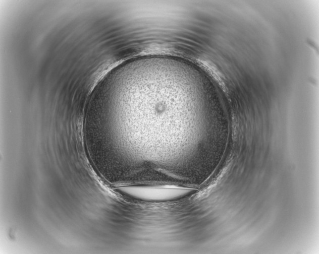 X0000093741041200710301100