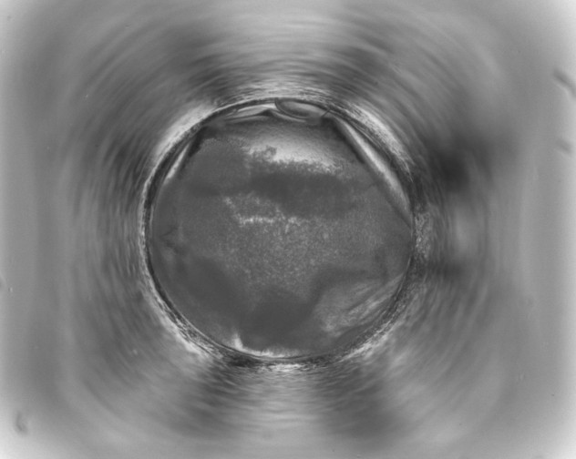 X0000093741043200710301100