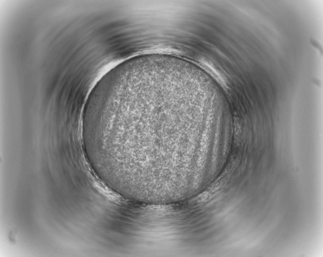 X0000093741044200710301100