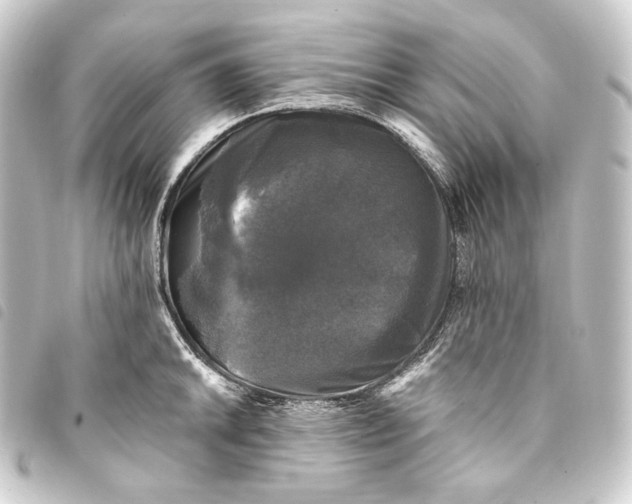 X0000093741046200710301100