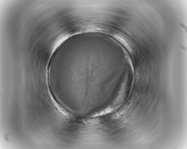 X0000093741047200710301100