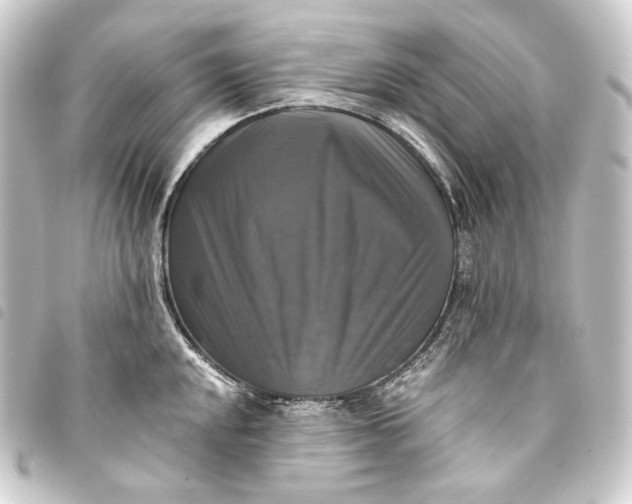 X0000093741048200710301100