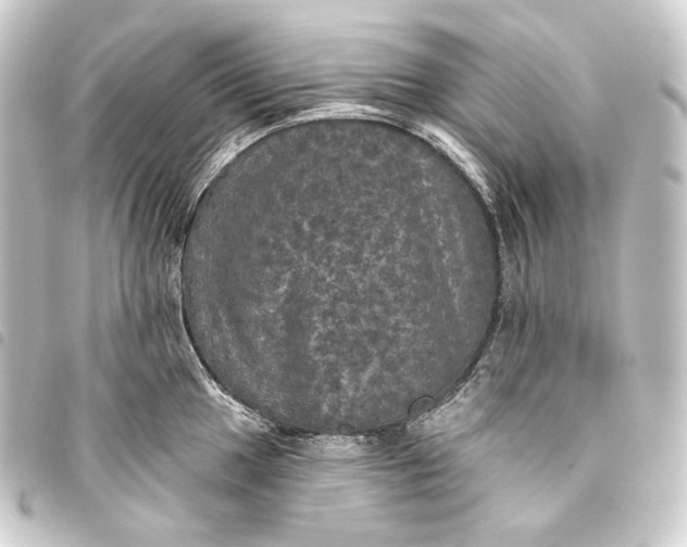 X0000093741049200710301100