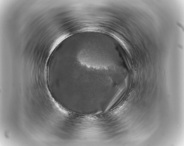 X0000093741050200710301100