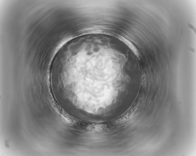 X0000093741051200710301100