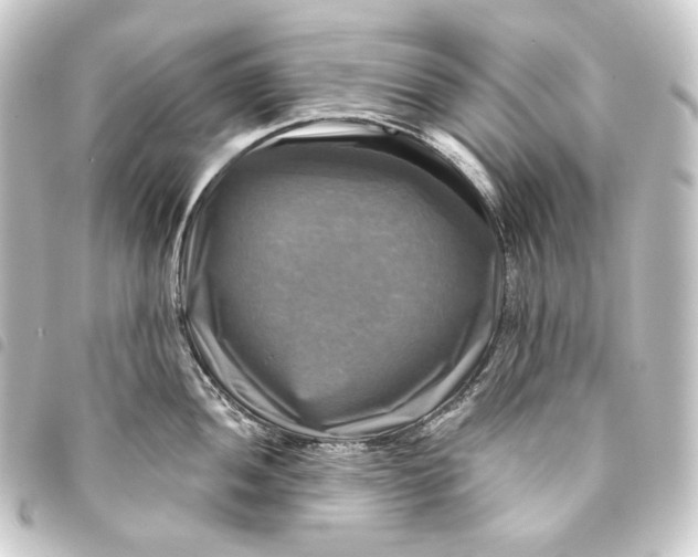 X0000093741052200710301100