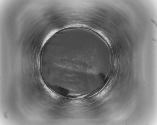 X0000093741054200710301101