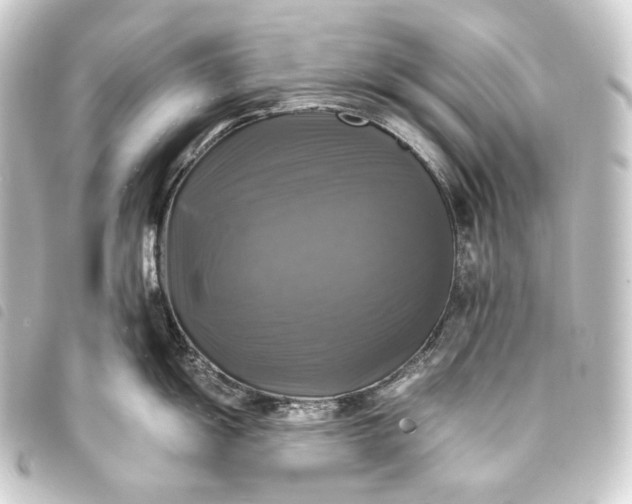 X0000093741055200710301101