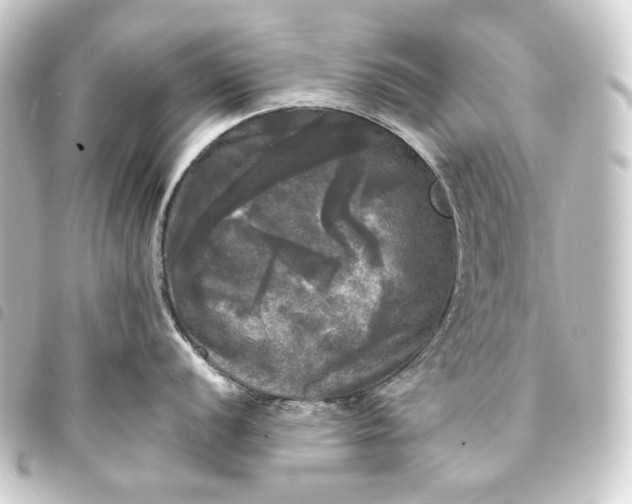 X0000093741056200710301101