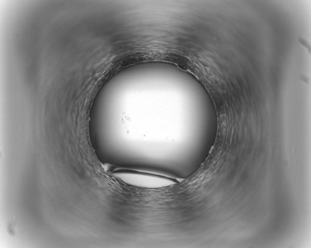 X0000093741057200710301100