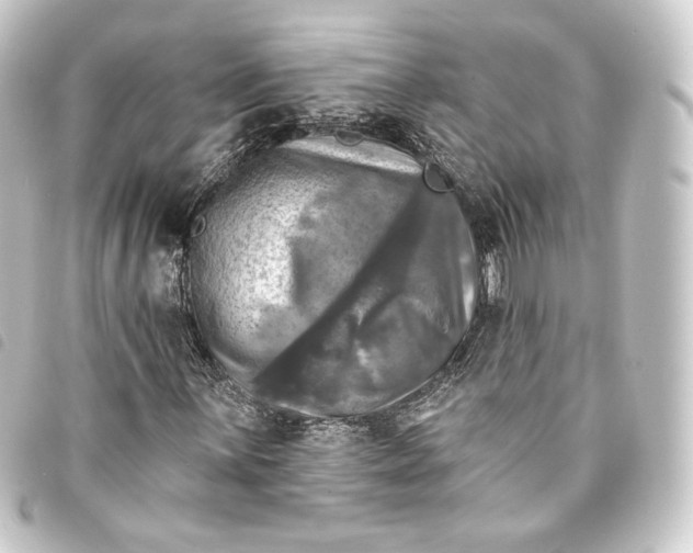 X0000093741059200710301100