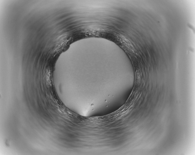 X0000093741060200710301100