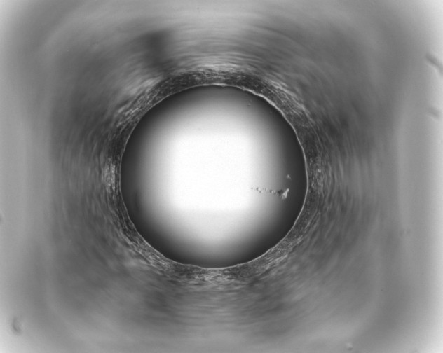 X0000093741061200710301100