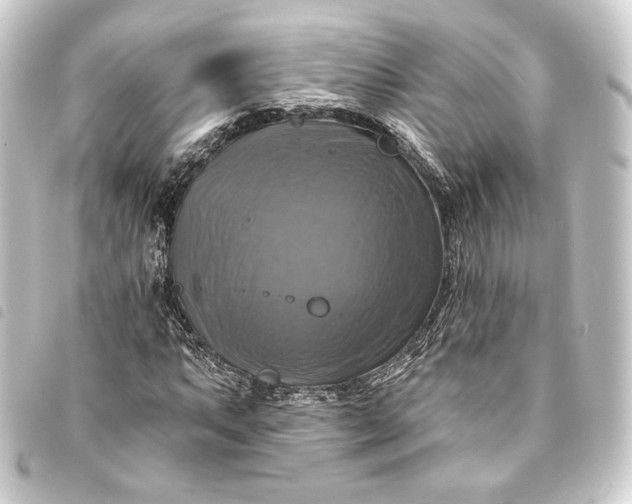 X0000093741063200710301100