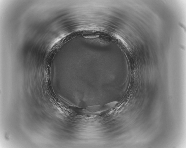 X0000093741064200710301100